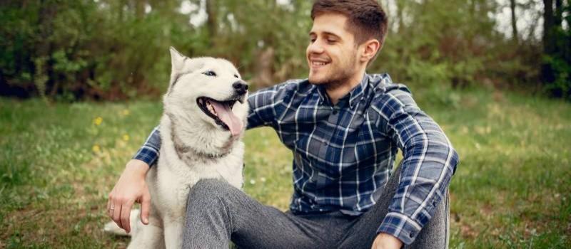 Chien jouant dans un terrain privé