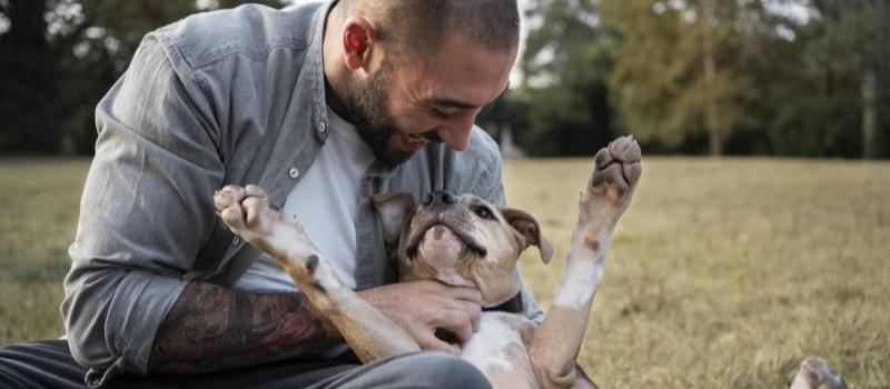 Promeneur avec son chien dans un jardin