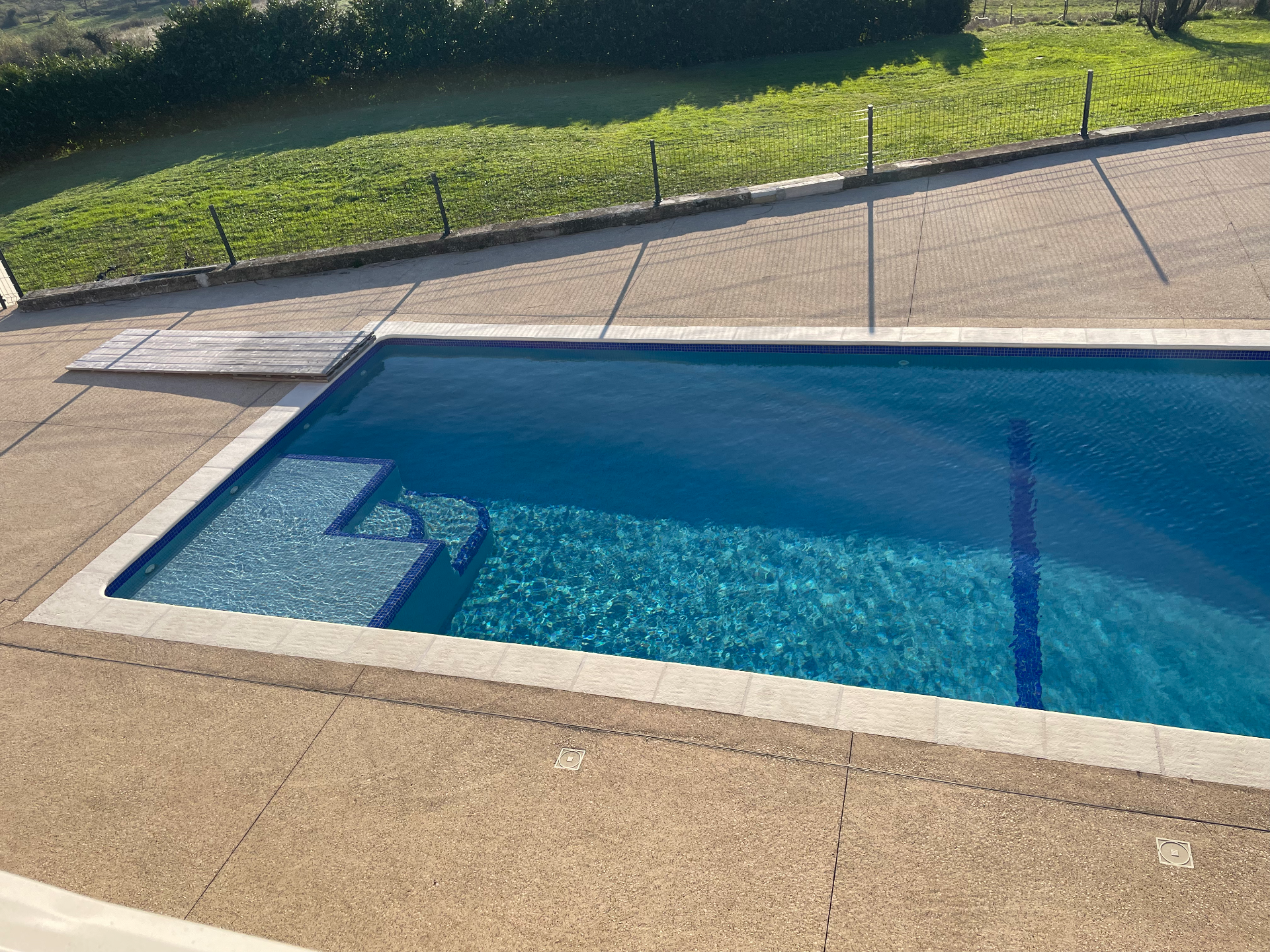 Piscine pour chiens