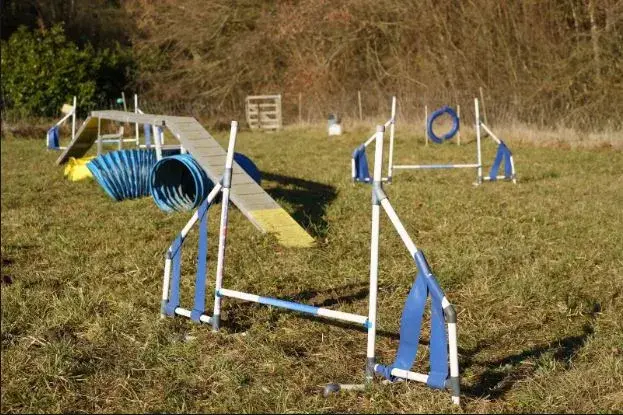 Terrain agility et fun pour chiens