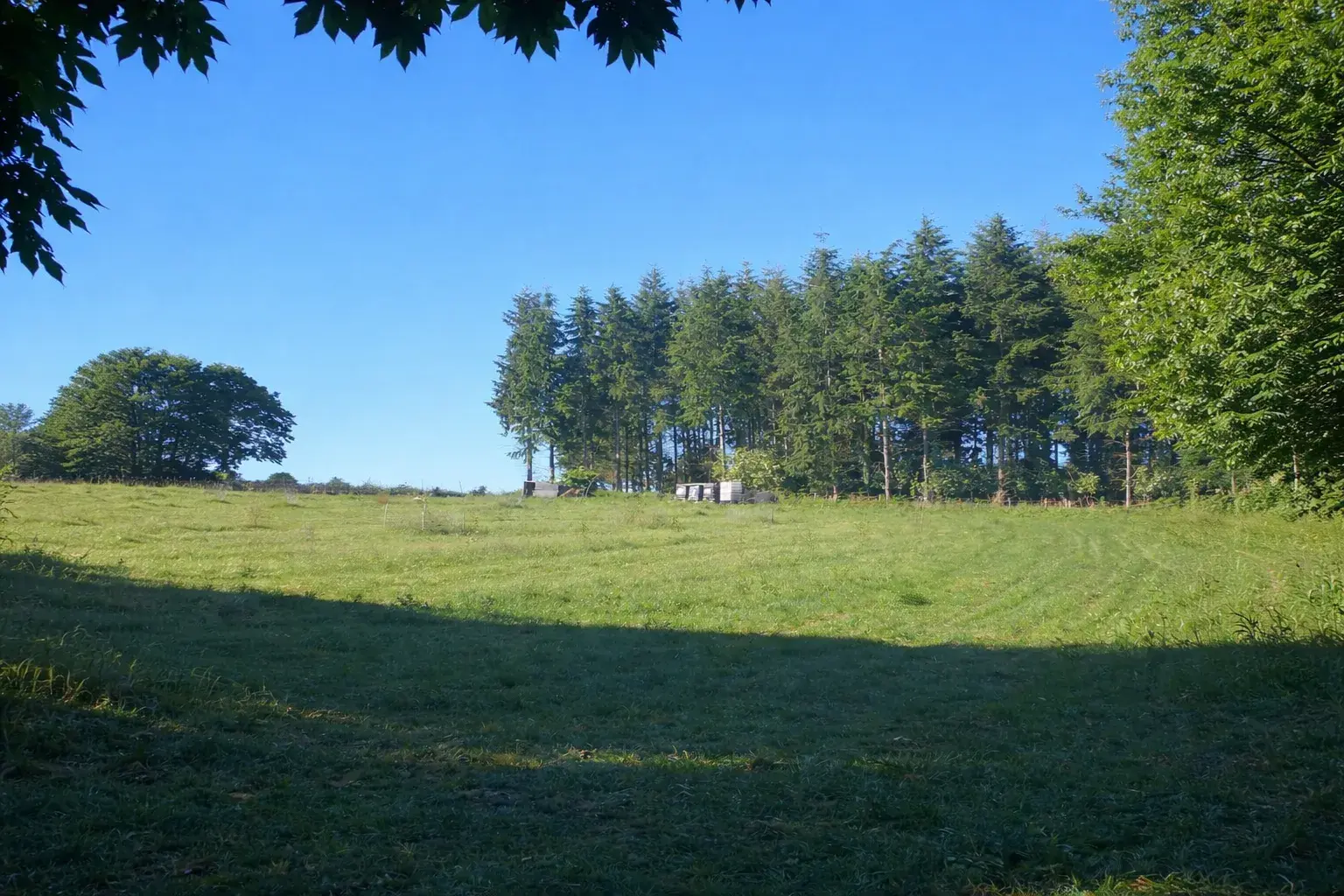 Grand champ verdoyant + 5000m² - Paradis pour votre chien