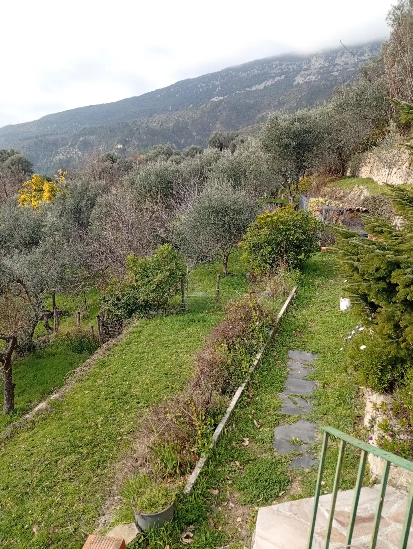 Un paradis de nature pour chien clôturé près de Nice