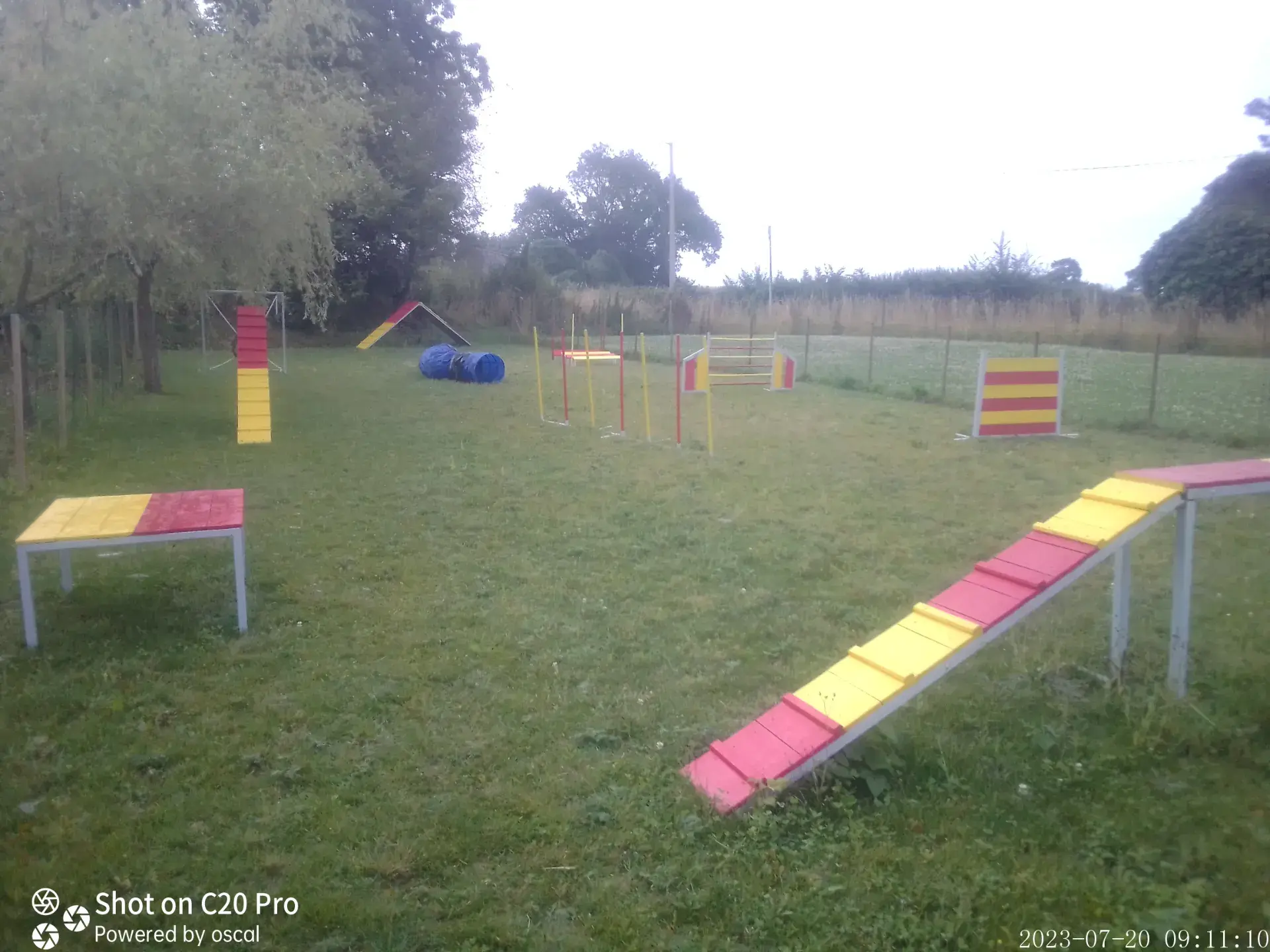 Terrain grillagé avec un parcours agility pour chiens