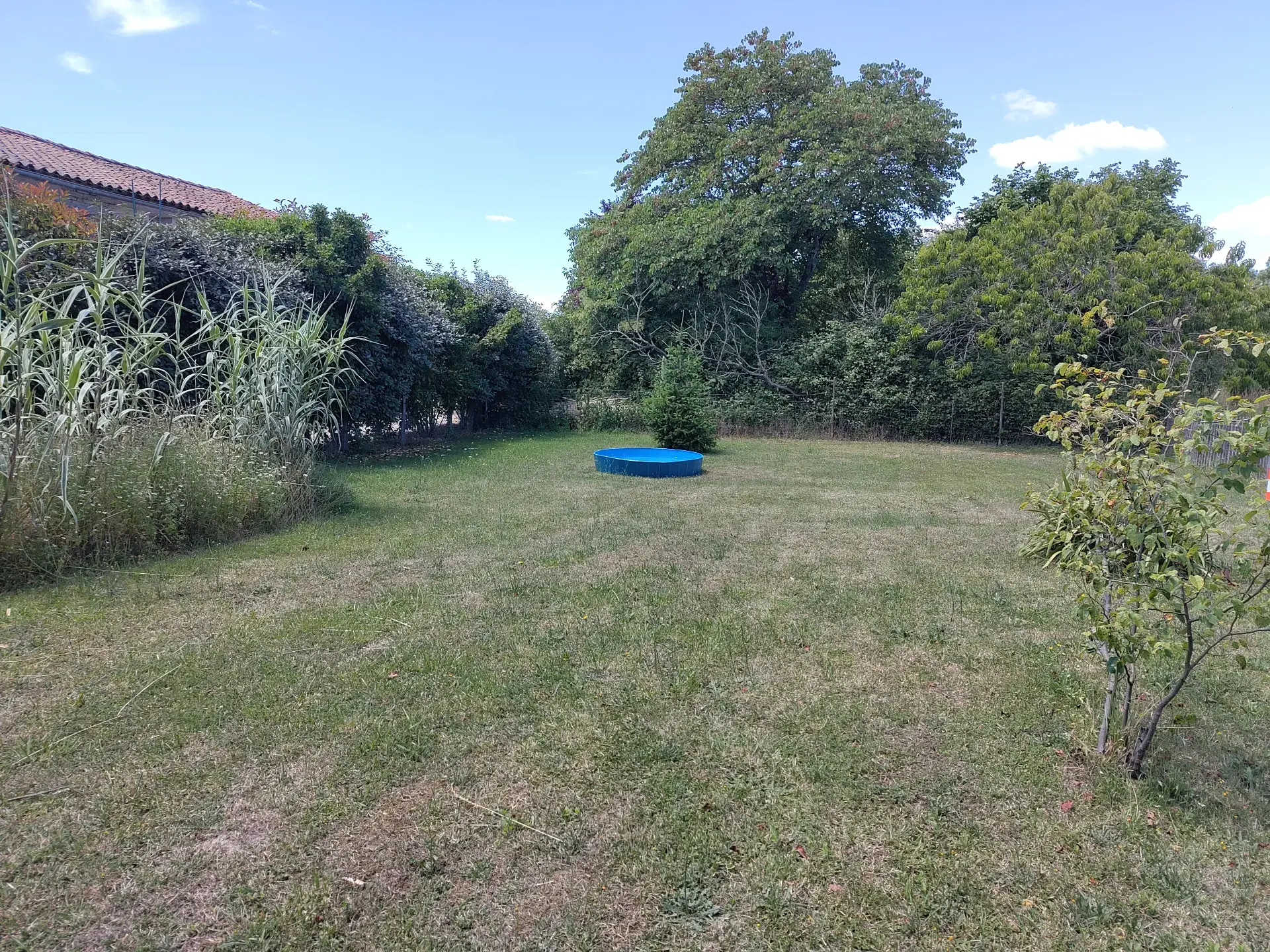 Terrain clos pour chiens 400 m2, matériel de hoopers et piscine