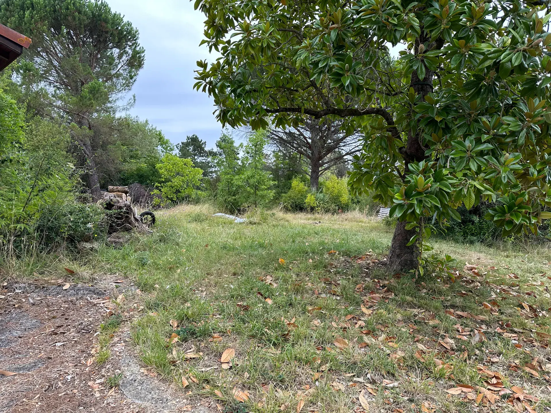 Jardin clôturé 1 ha pour chiens