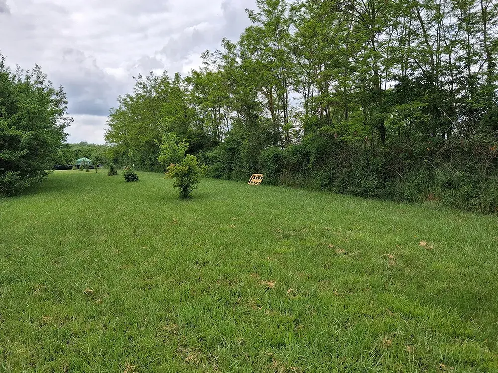 Verger entièrement clôturé pour chiens