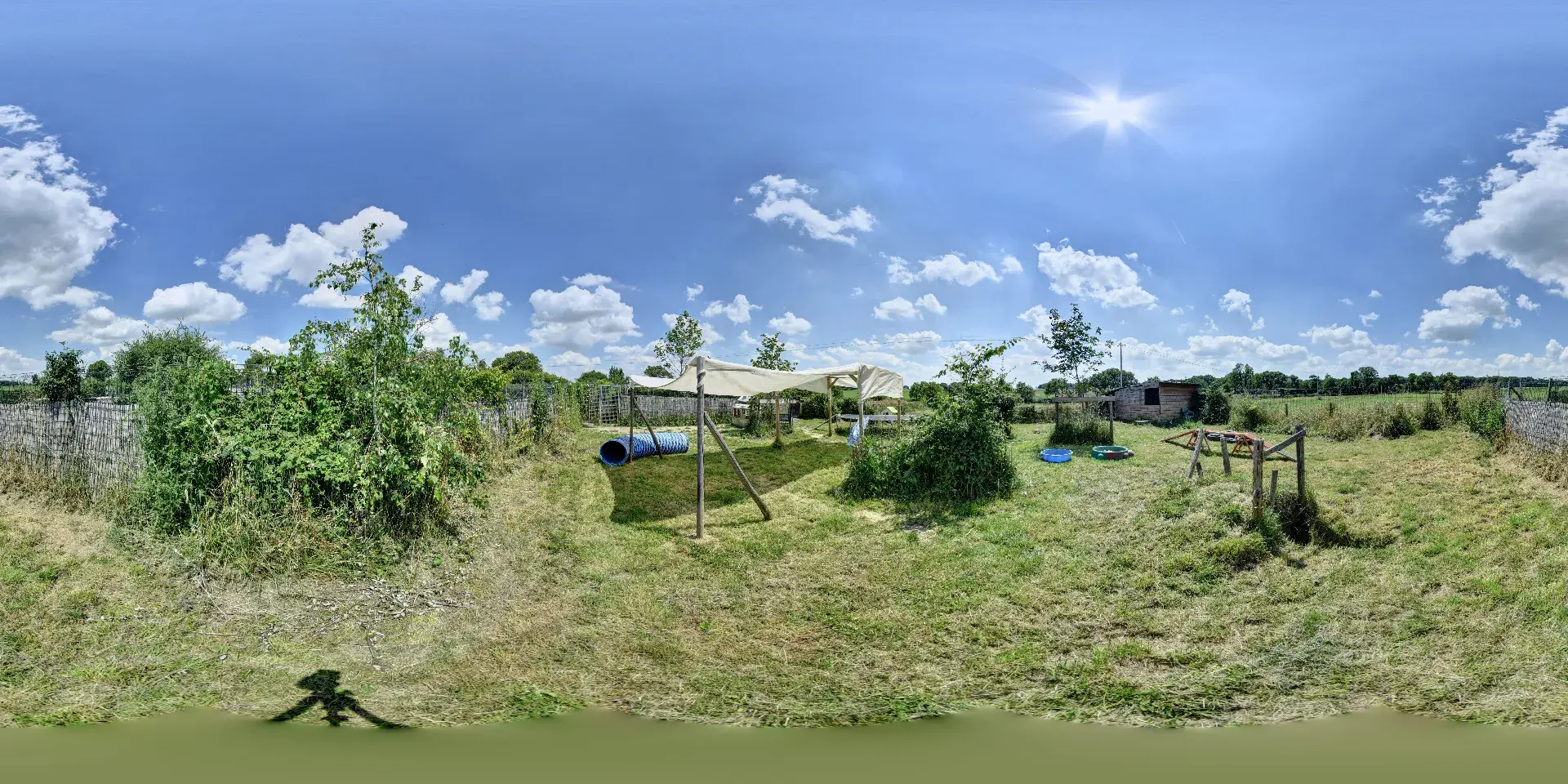 Parc clos pour chiens. Matériel parcours et jeux à disposition