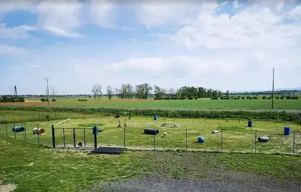 LA CLASSE CANINE - Terrain privé et sécurisé pour chiens 5000m²