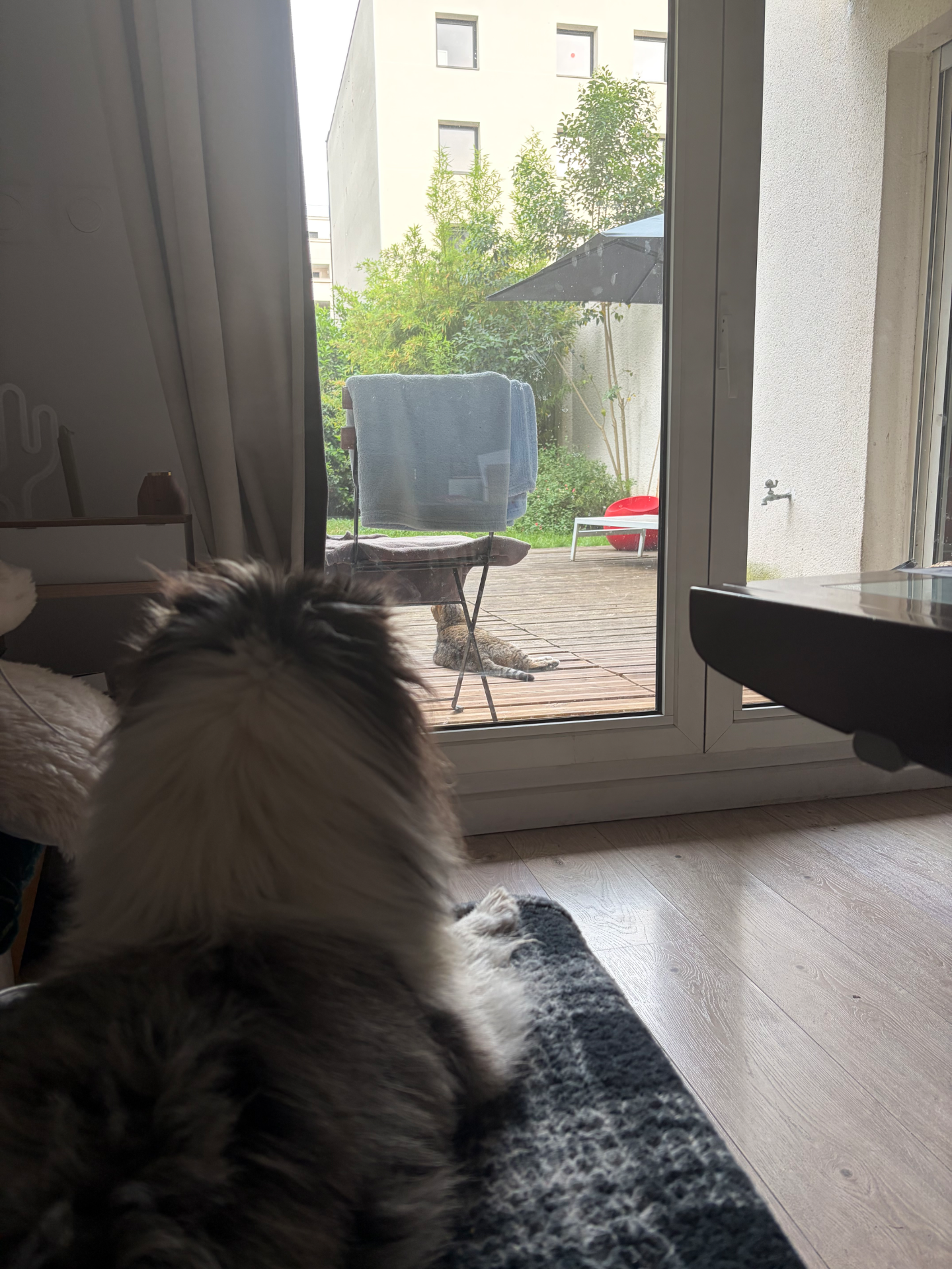 Jardin clos et fleuri pour chien