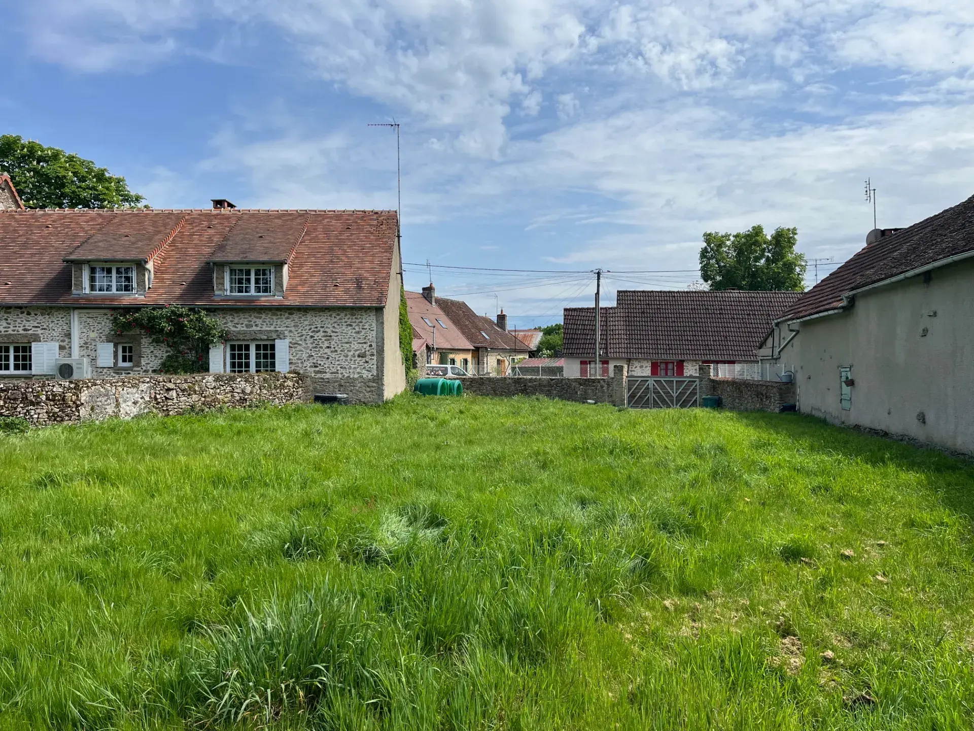 Jardin clôturé verdoyant pour chiens