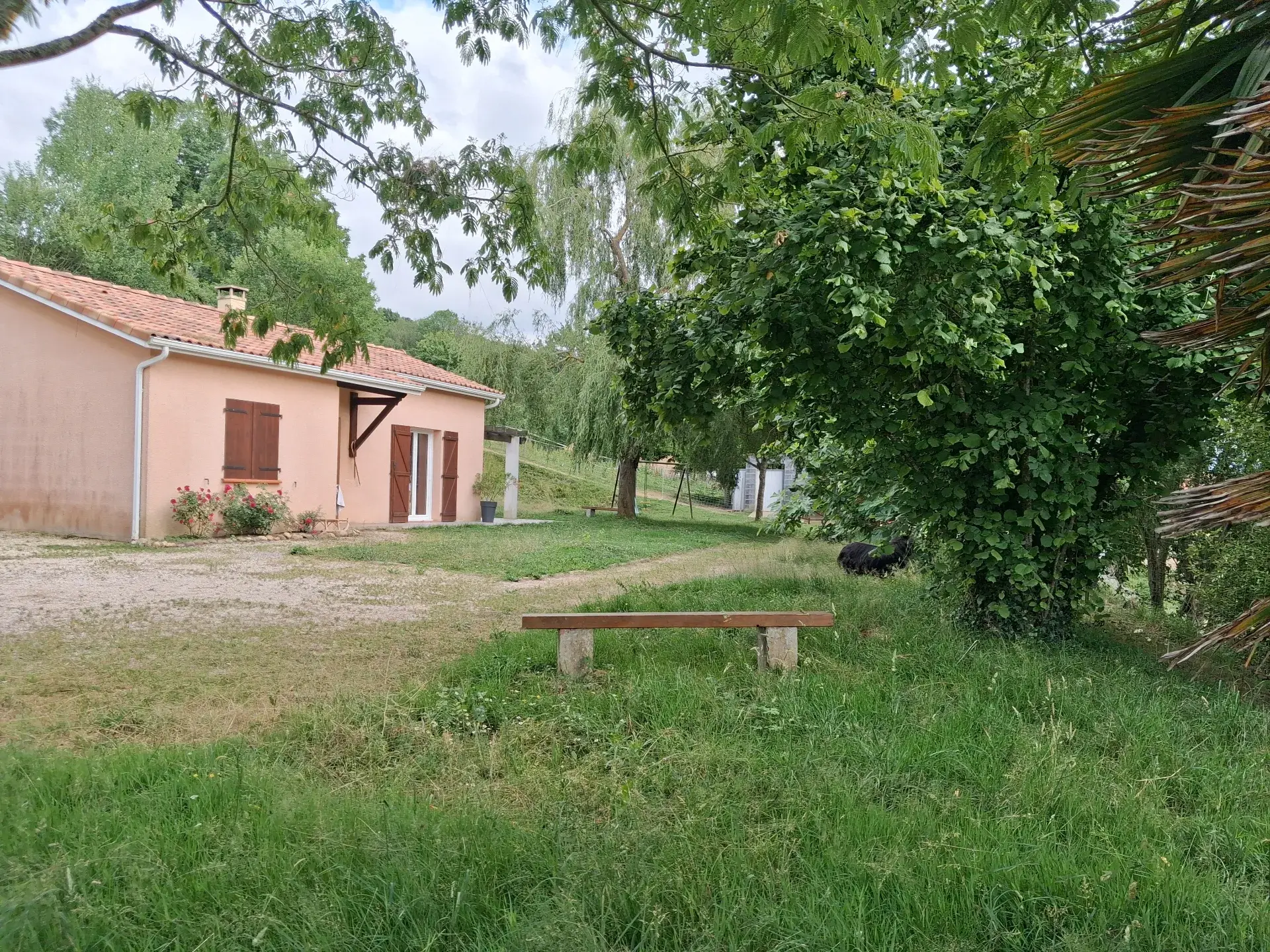 Jardin clôturé et vallonné pour chiens