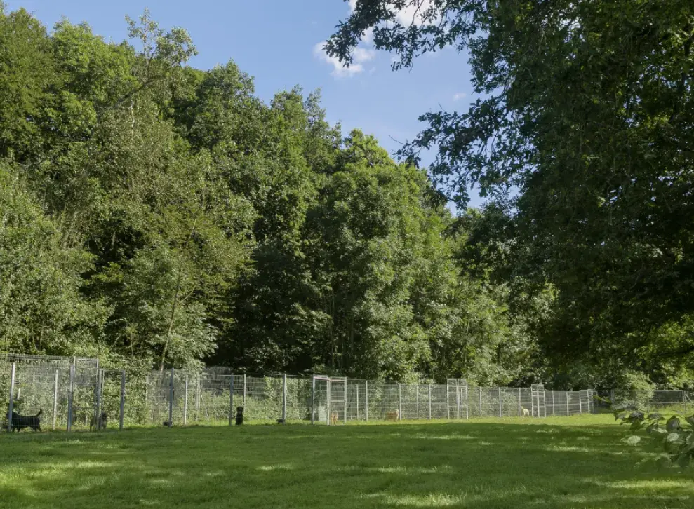 Parc canin de 4 000m² entièrement clôturé