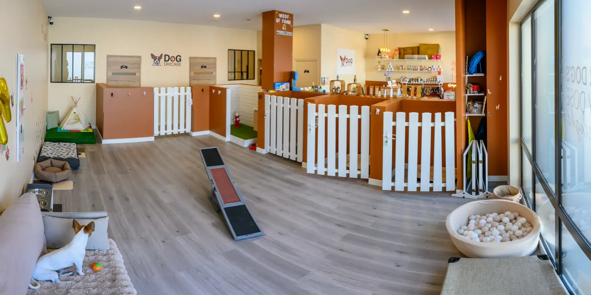 Le tout premier espace indoor dédié aux chiens à Serris !