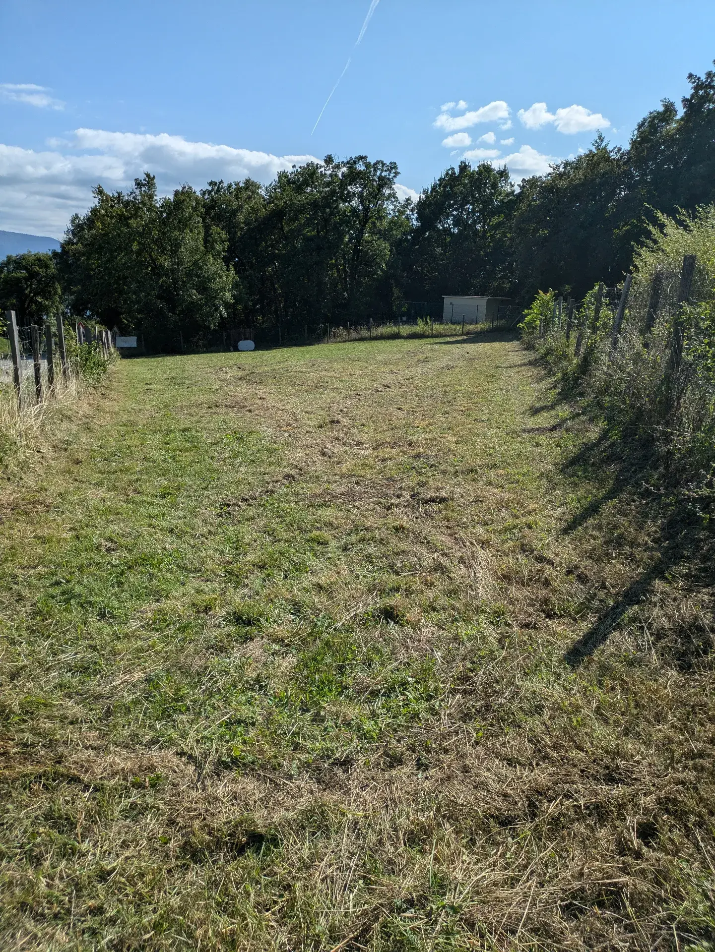 Grand champ clôturé pour chien près de Grenoble
