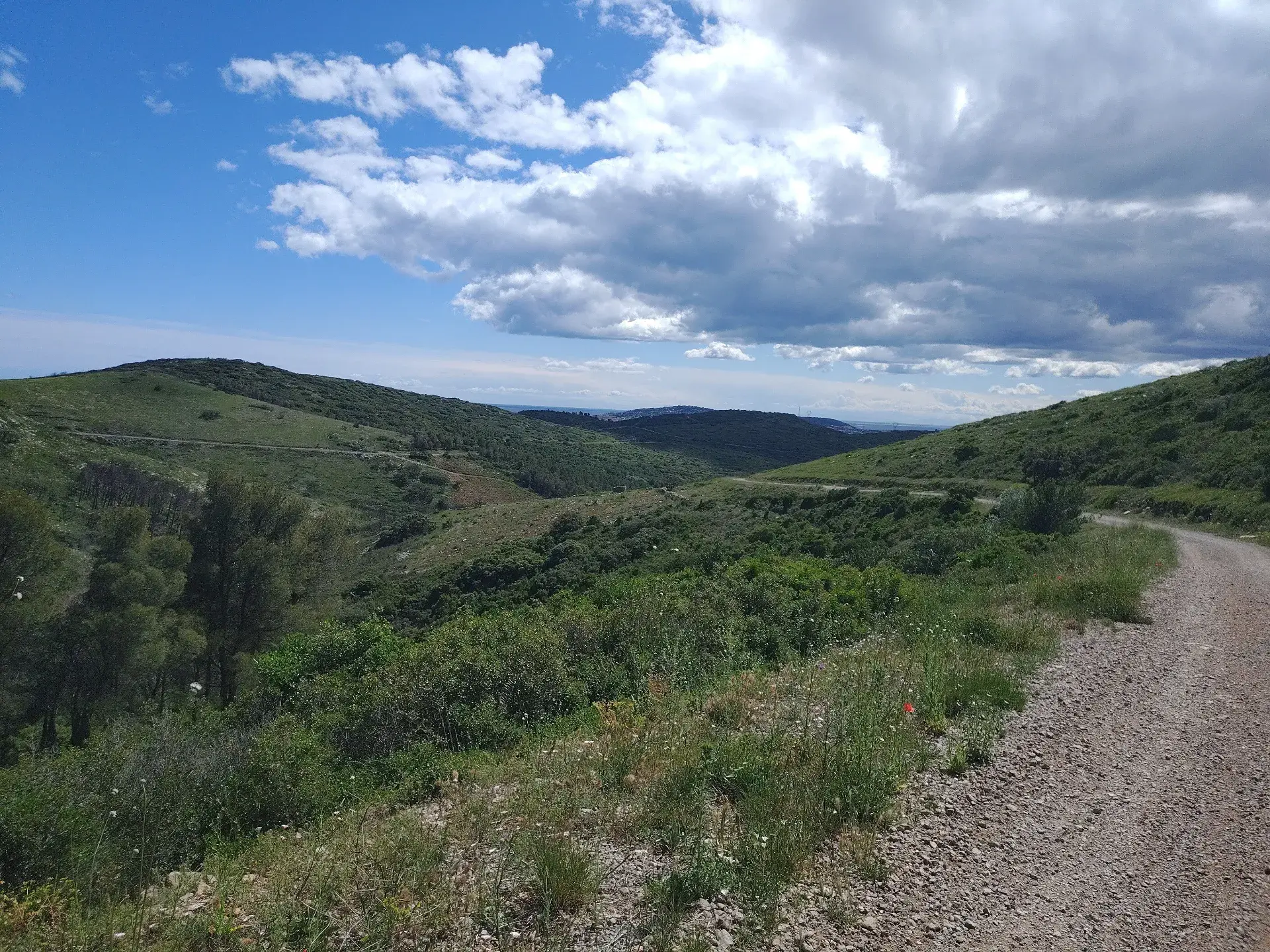 6000m² clôturés au cœur d'un domaine de 4ha