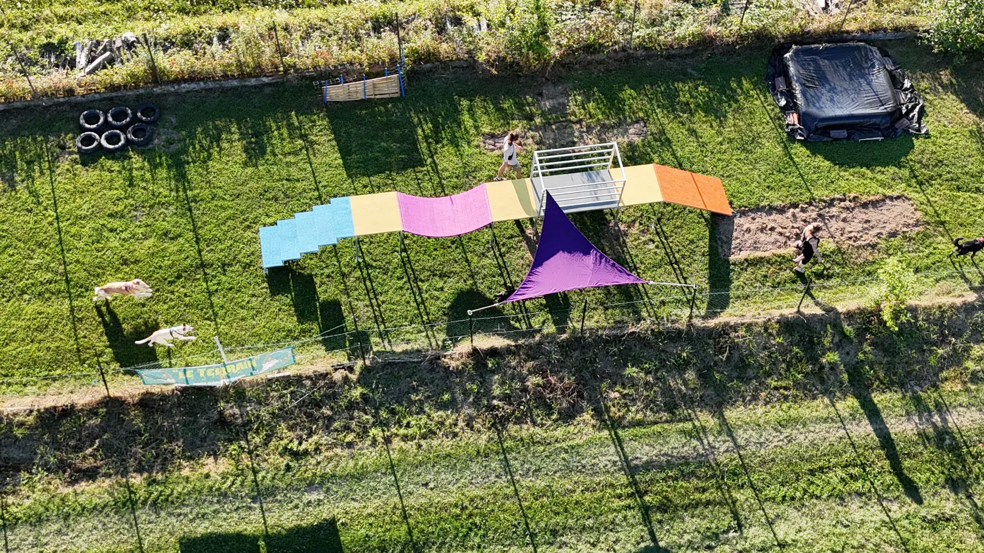 Espace canin avec aire de jeux et piscine pour chien