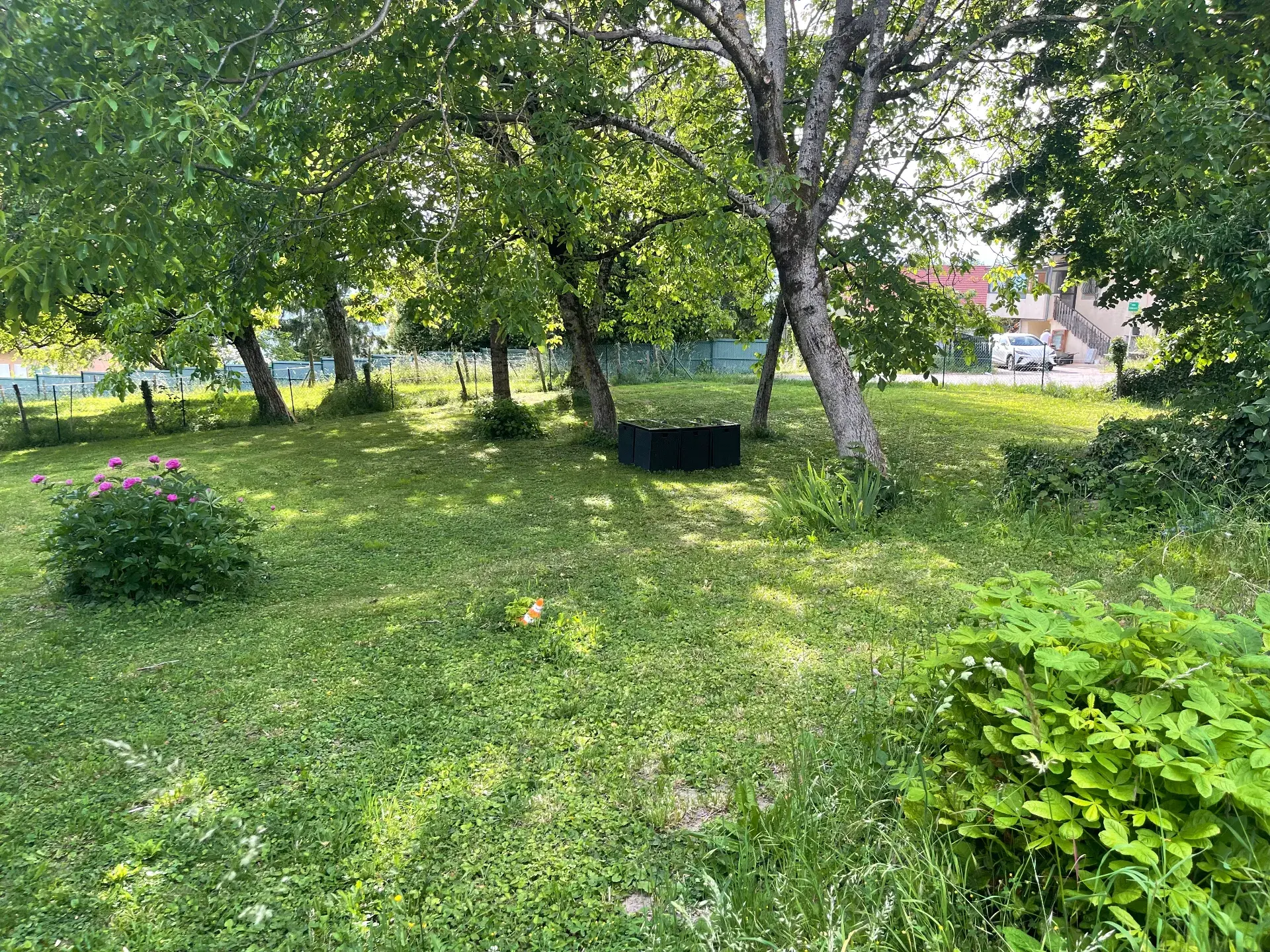 Jardin arboré clôturé pour chiens