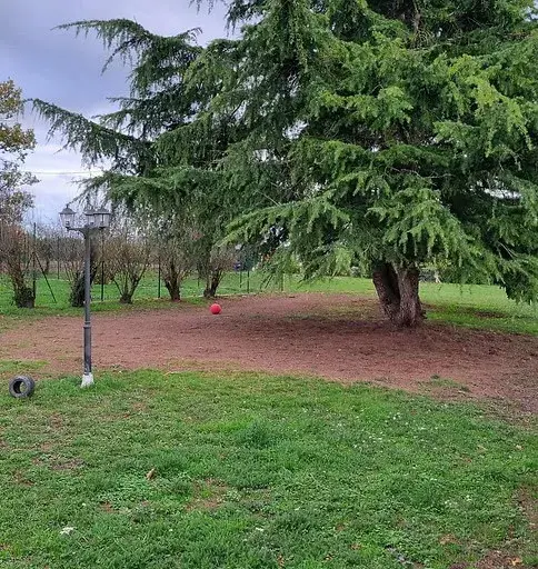 Parc arboré de détente 1000m² avec petite piscine