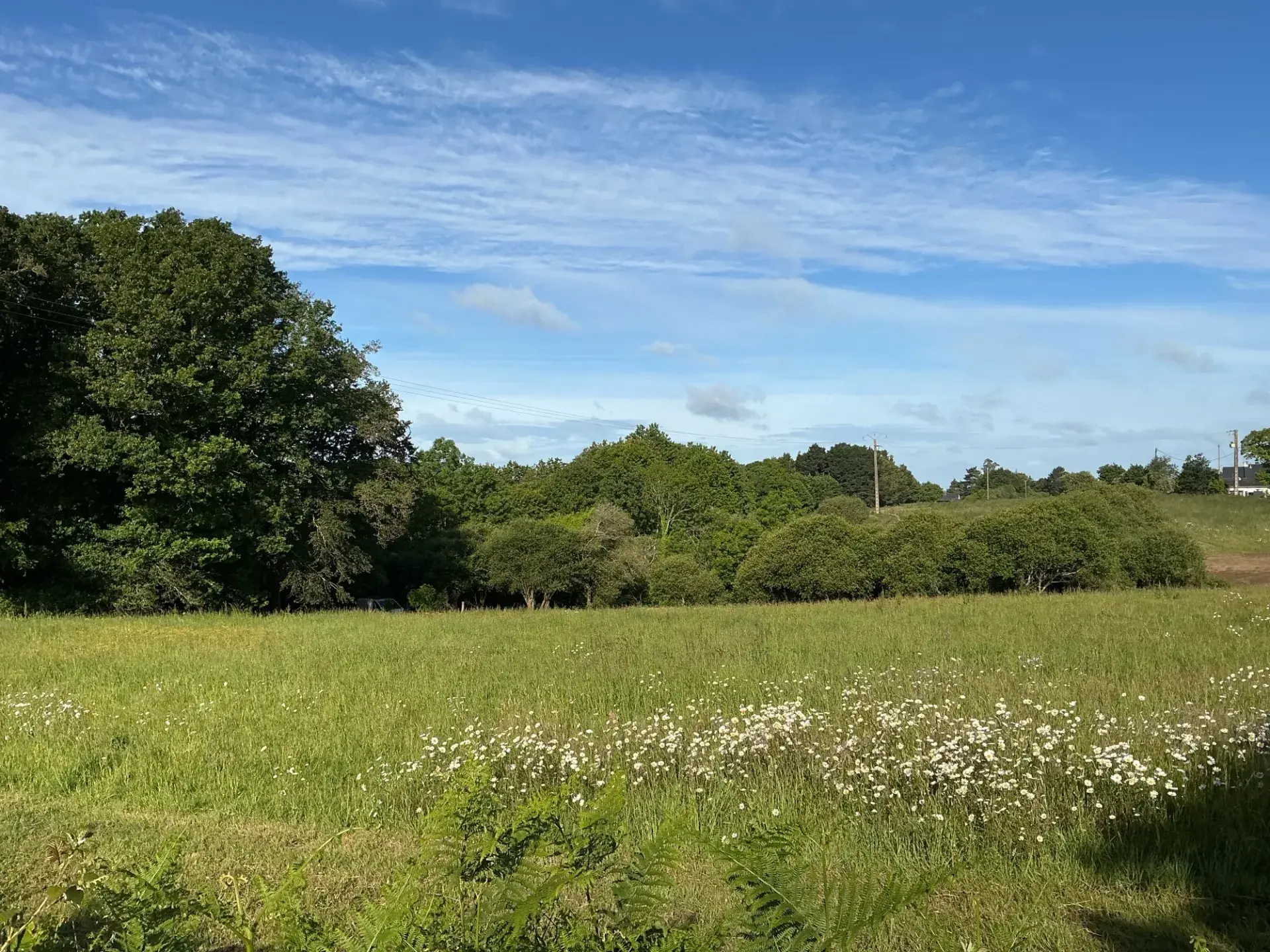 Domaine canin à l’orée du bois de 6ha
