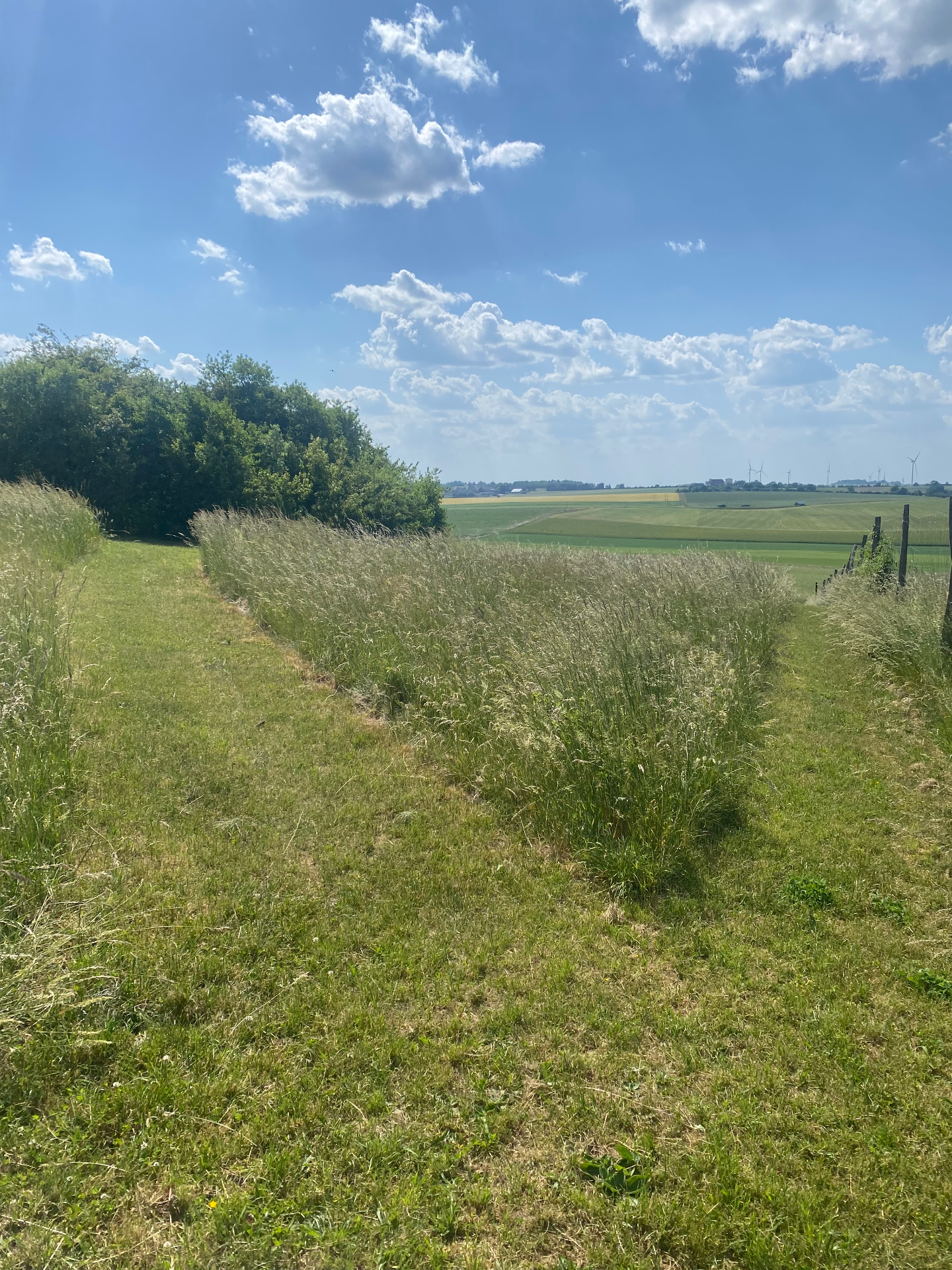 Parc canin privé 1,7 ha clôturé