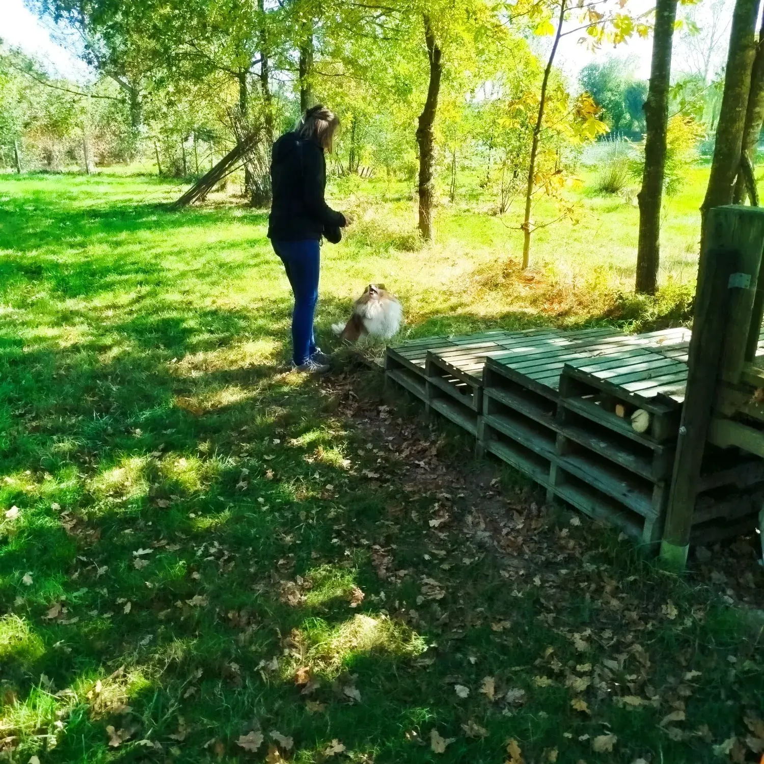 Parc de loisirs pour chiens d'1,5 hectar