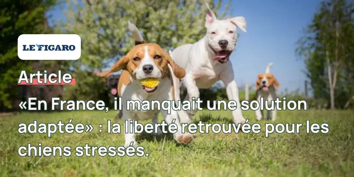 Unleaz dans Le Figaro : la liberté retrouvée pour les chiens stressés
