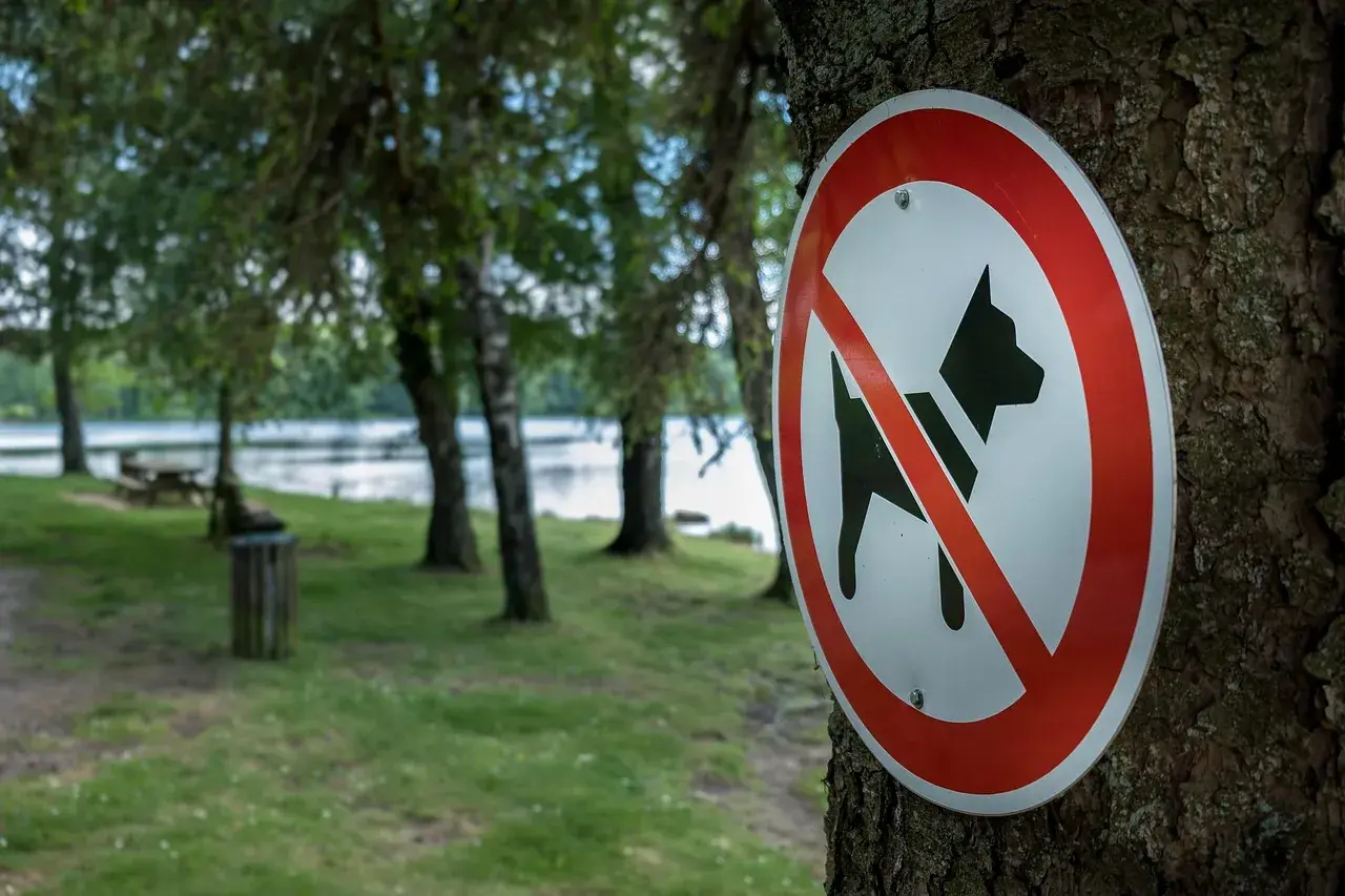 Où laisser son chien courir sans laisse légalement en France ?